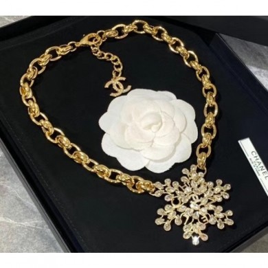 Chanel Necklace 13 2020 CE00536