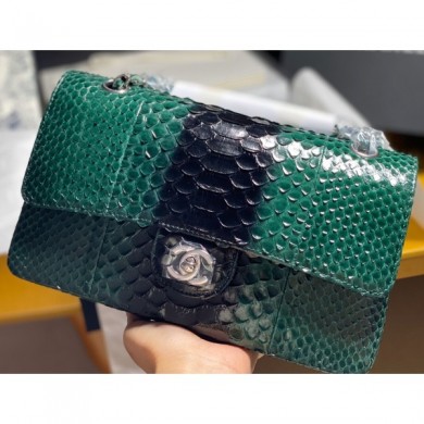 Chanel Python Classic Flap Medium Bag A1112 53 CE02273