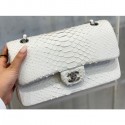 Best 1:1 Chanel Python Classic Flap Medium Bag A1112 10 CE02511