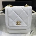 Copy Chanel Quilted Lambskin Vertical Flap Bag AS1895 White 2020 Collection CE01718