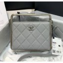 Fashion Replica Chanel Lambskin & Silver-Tone Metal Clutch AS1732 Grey 2020 Collection CE02182