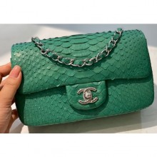 Replica Chanel Python Classic Flap Small Bag A1116 14 CE02525