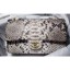 Best Chanel Python Classic Flap Medium Bag A1112 06 CE01898