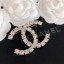 Chanel Crystal Brooch 60 2020 Collection CE01591