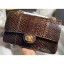 Chanel Python Classic Flap Medium Bag A1112 51 CE04162