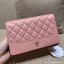 Imitation Chanel Wallet on Chain A88615 Pink Collection CE01444