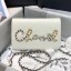 Knockoff Chanel Calfskin Chain CHANEL Wallet on Chian WOC White 2020 Collection CE02957