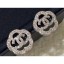 Replica Chanel Earrings 101 2020 CE04145