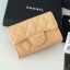 Replica Chanel Grained Leather Classic Card Holder AP0214 Apricot 2019 Collection CE02339