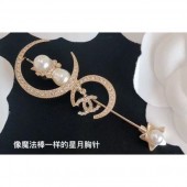 Chanel Brooch 23 2020 CE03846
