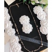 Chanel Necklace 25 2020 CE04247