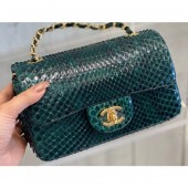 Chanel Python Classic Flap Small Bag A1116 07 CE03172