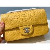 Chanel Python Classic Flap Small Bag A1116 12 CE01738