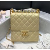 Knockoff Top Chanel Acrylic Beads Goatskin Mini Falp Bag AS0584 Gold 2020 Collection CE02519